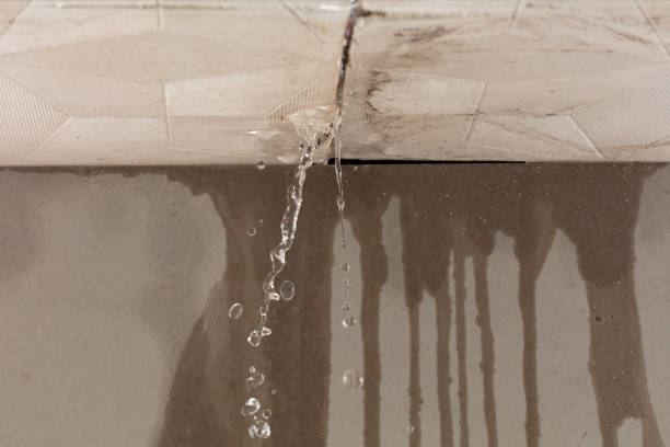 Professional Structural Drying technician working in Bridgton, ME